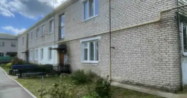 1 room apartment in Karaliova, Belarus