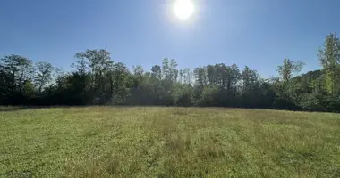 Plot of land in Danilovgrad, Montenegro