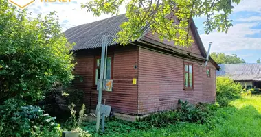 Dom w Ptuszkafabryka, Białoruś