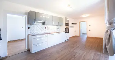 Apartamento en Benesov nad Cernou, Chequia