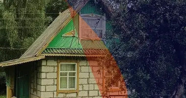 House in Jzufouski sielski Saviet, Belarus