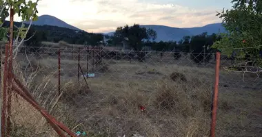 Terrain dans Koropi, Grèce