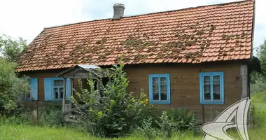 House in Rasna, Belarus