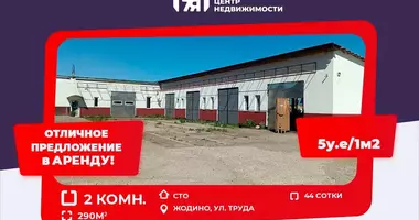 Коммерческое помещение 290 м² в Жодино, Беларусь