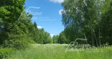 Terrain dans poselenie Pervomayskoe, Fédération de Russie