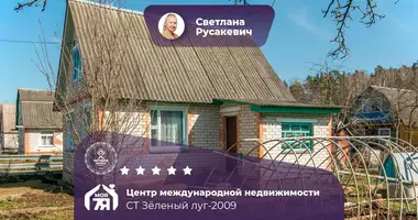 Дом в Тюрлёвский сельский Совет, Беларусь