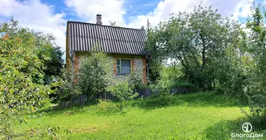 House in Zabalocki sielski Saviet, Belarus