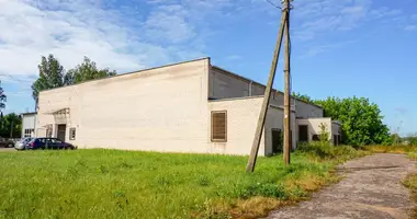 Commercial property 1 990 m² in Raguva, Lithuania