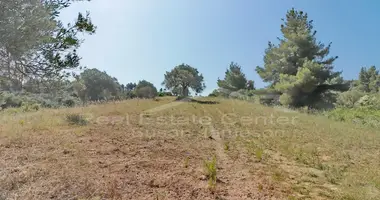 Terrain dans Paliouri, Grèce