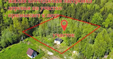 Casa en Jzufouski siel ski Saviet, Bielorrusia