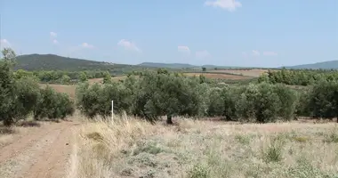 Terrain dans Metamorfosi, Grèce