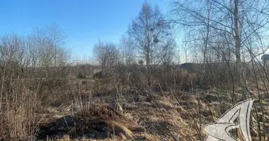 Grundstück in Znamienski sielski Saviet, Weißrussland