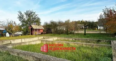 House in Kapciouski sielski Saviet, Belarus