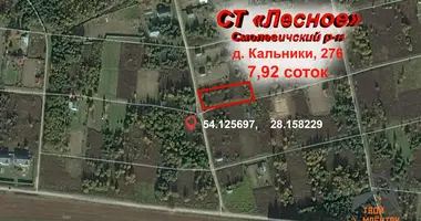 Дом в Жодинский сельский Совет, Беларусь