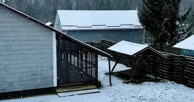 Maison dans Novaje Polie, Biélorussie