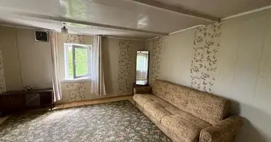 Haus in Orscha, Belarus