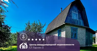 Maison dans Starobinski sielski Saviet, Bélarus