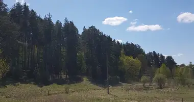 Grundstück in Traken, Litauen