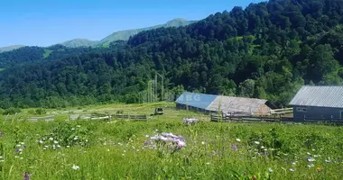 Plot of land in Georgia