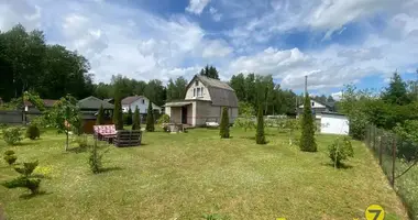 Дом в Пуховичский сельский Совет, Беларусь