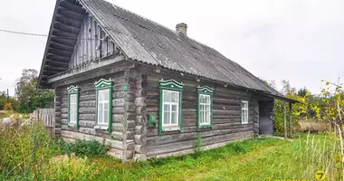 Dom w Paplauski sielski Saviet, Białoruś