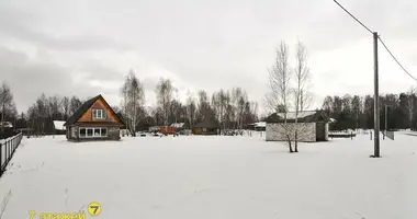 Casa en Piarsajski siel ski Saviet, Bielorrusia