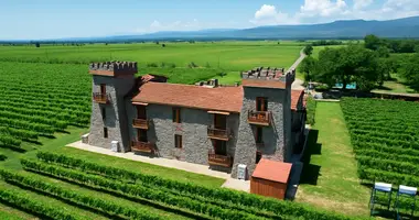 Investissement dans Kvareli, Géorgie