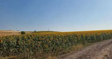 Appartement dans Tankovo, Bulgarie