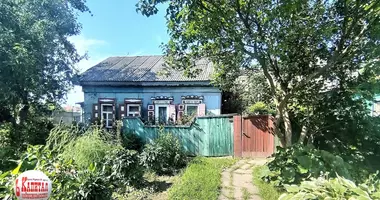 House in Homel, Belarus