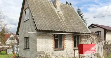 Haus in Telminski sielski Saviet, Weißrussland