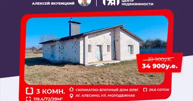 Maison dans Aliesina, Biélorussie
