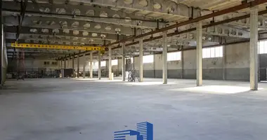 Warehouse 3 924 m² in Kalodziscanski sielski Saviet, Belarus