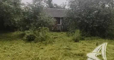 Участок земли в Чернинский сельский Совет, Беларусь