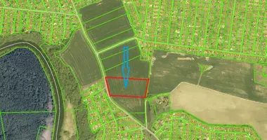 Plot of land in Kurmaiciai, Lithuania