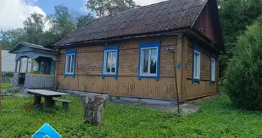 House in Mazyr, Belarus