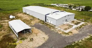 Bureau 1 381 m² dans Lahojsk selsaviet, Bélarus