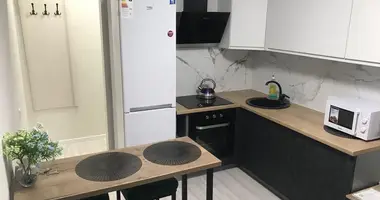 2 room apartment in Minsk, Belarus