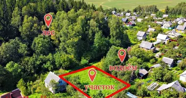 Plot of land in Piatryskauski sielski Saviet, Belarus