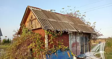 Maison dans Skoki, Biélorussie