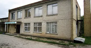 Commercial property 254 m² in Rimenai, Lithuania