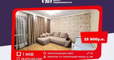 Квартира 1 комната в Борисов, Беларусь