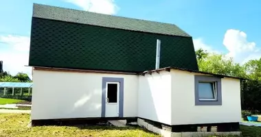 House in Prienai, Lithuania