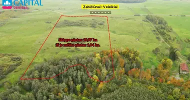 Plot of land in Veleikiai, Lithuania