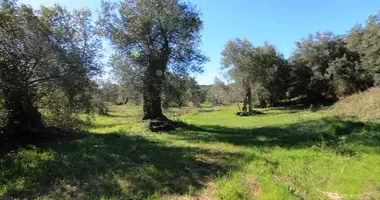 Grundstück in Agios Georgios, Griechenland