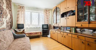 2 room apartment in Minsk, Belarus