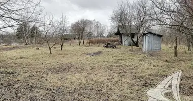 Grundstück in Matykalski sielski Saviet, Weißrussland