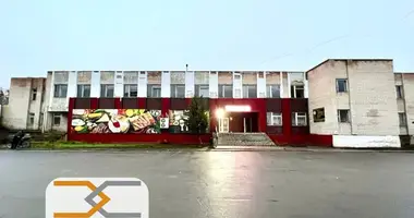 Commercial property 855 m² in Siemiezava, Belarus