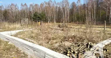 Plot of land in Lieninski sielski Saviet, Belarus