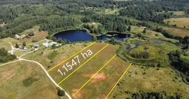 Plot of land in Joteliunai, Lithuania