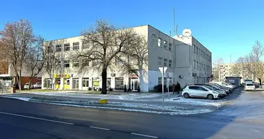 Propiedad comercial 306 m² en Budiskes, Lituania